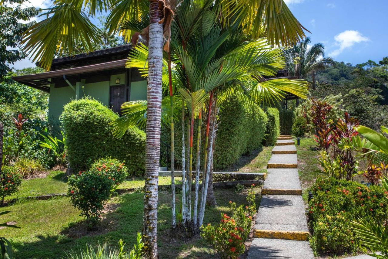 Tiki Villas Rainforest Lodge - Adults Only Uvita Eksteriør billede