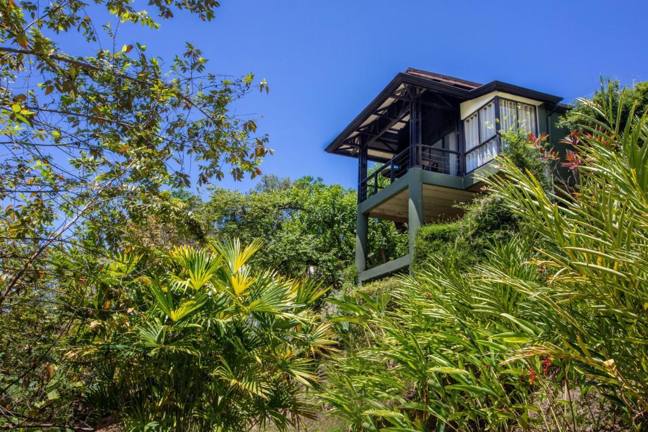 Tiki Villas Rainforest Lodge - Adults Only Uvita Eksteriør billede